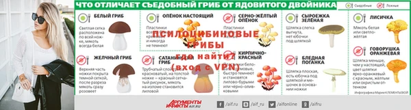ПСИЛОЦИБИНОВЫЕ ГРИБЫ Абинск