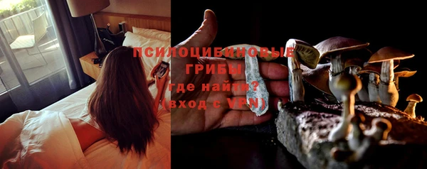 мяу мяу мука Абдулино