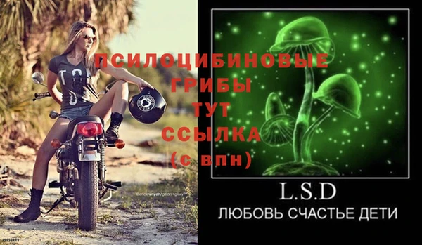ПСИЛОЦИБИНОВЫЕ ГРИБЫ Абинск